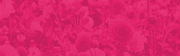 Mother's Day Gift Guide