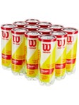 Wilson Championship Extra Duty Tennis Ball 12 Can Case