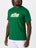 Nike Men's Summer Celebrate T-Shirt Green XXL