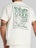 Wilson Men's Sporting Graphic T-Shirt Sandrift XXL