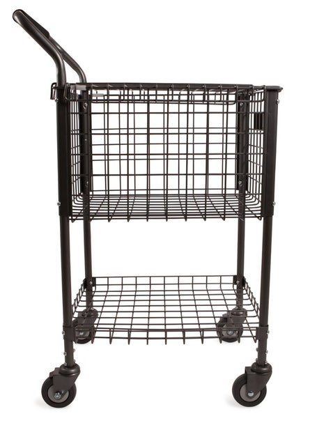 Gamma Brute Teaching Cart 325