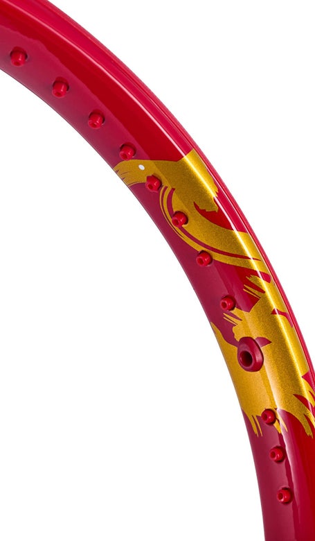 Tecnifibre TFight 300 Spring Festival\Racquet