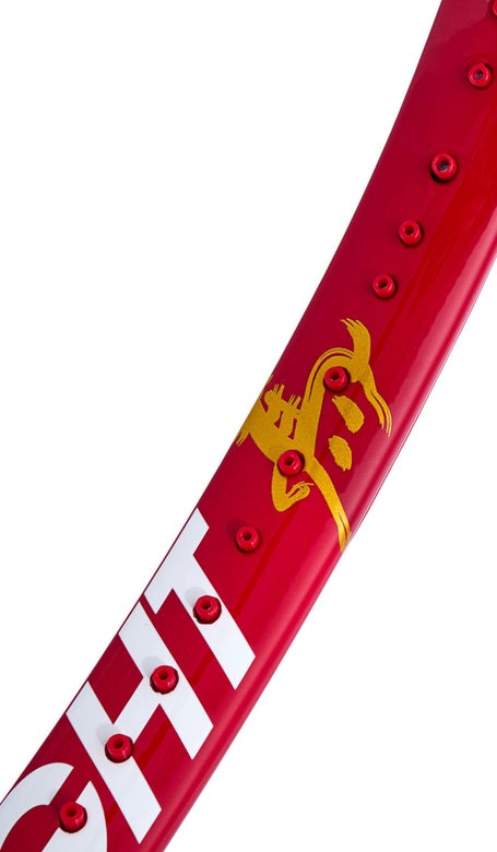 Tecnifibre TFight 300 Spring Festival\Racquet